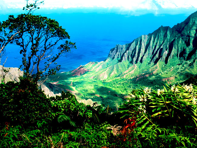 Description: 8. Hawaii3.jpg