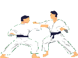 Judo Match